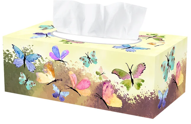 Packaging-Design Papillon Design de boîte de mouchoirs avec des papillons